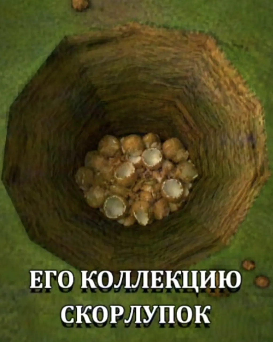 коллекция скорлупок доктора эпикантуса
